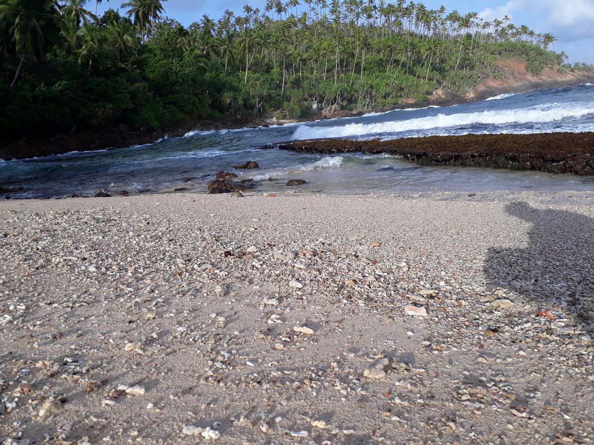 Sea Shine Beach Resort Mirissa Eksteriør billede